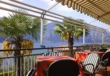 Edera Malcesine