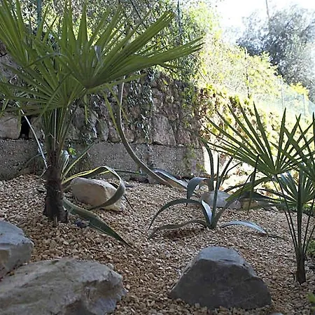 Edera מלון