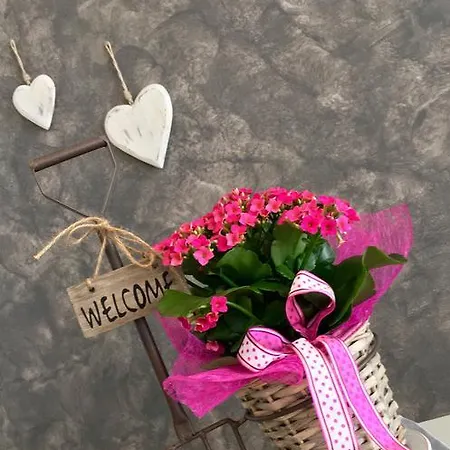 埃德拉别墅酒店 酒店 2*