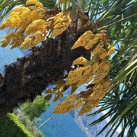 酒店 埃德拉别墅酒店 2*