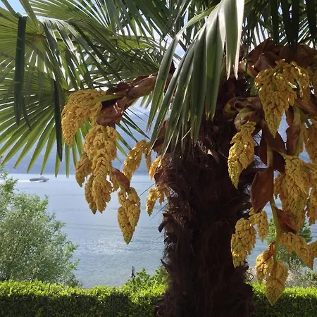 埃德拉别墅酒店 酒店